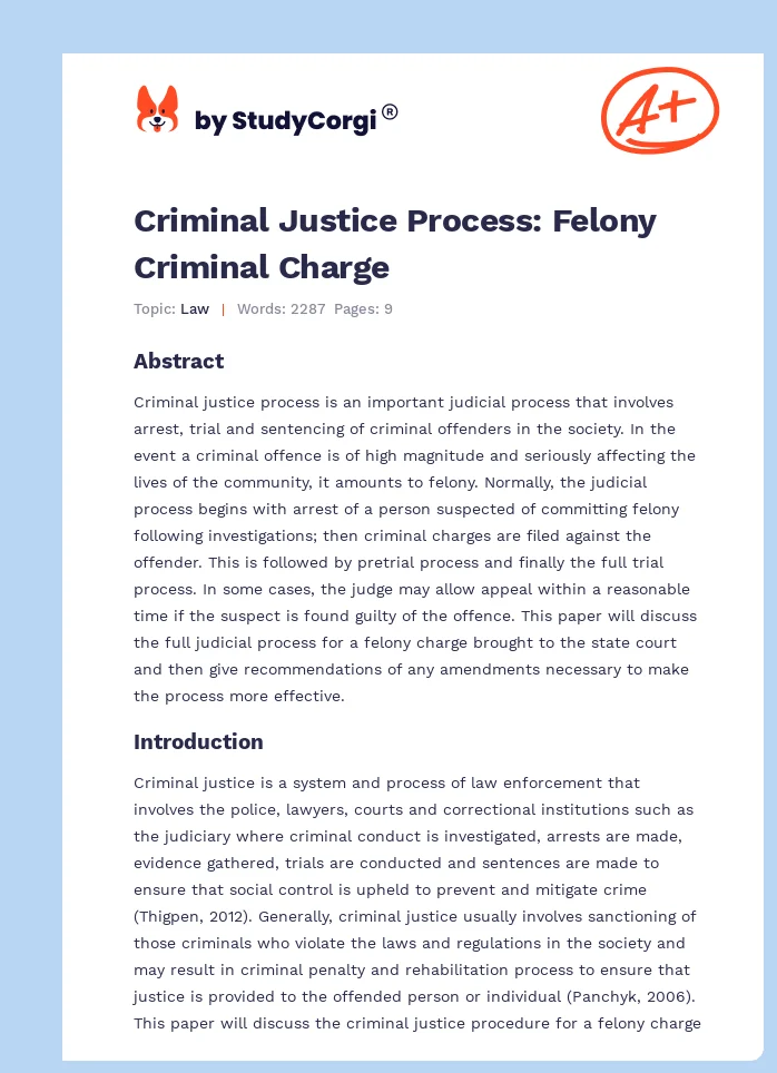 Criminal Justice Process: Felony Criminal Charge. Page 1