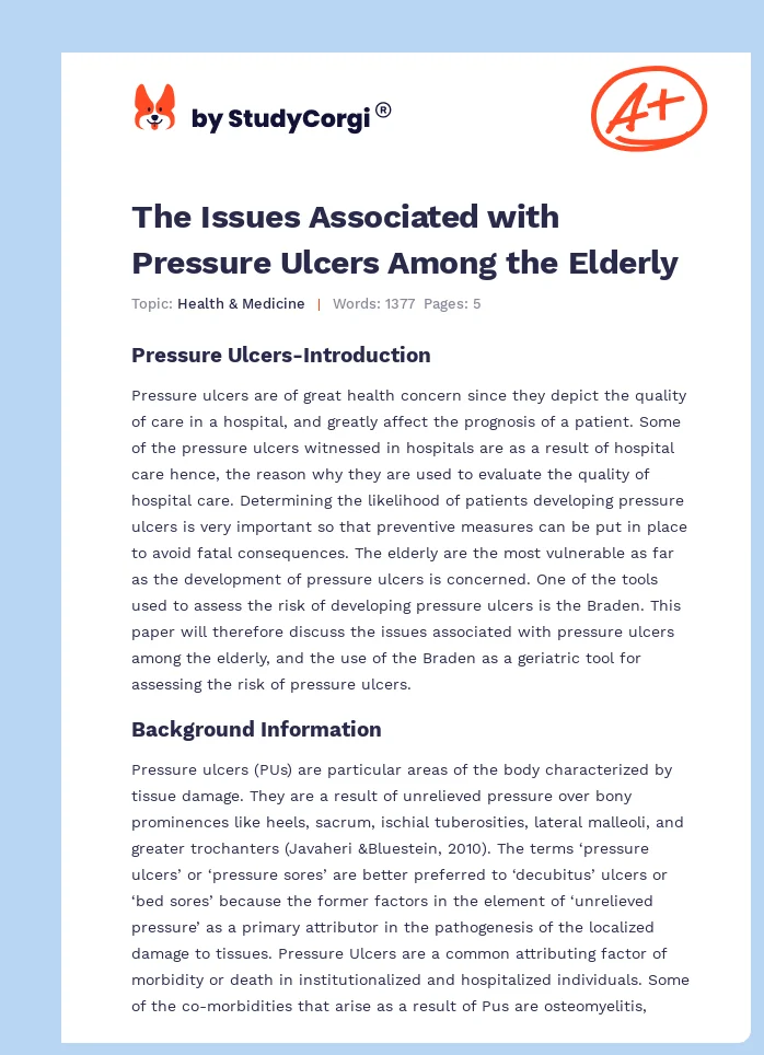 The Issues Associated With Pressure Ulcers Among The Elderly Free Essay Example
