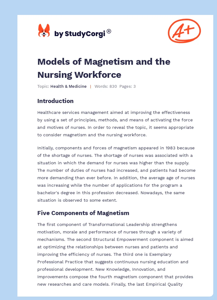 Models of Magnetism and the Nursing Workforce. Page 1
