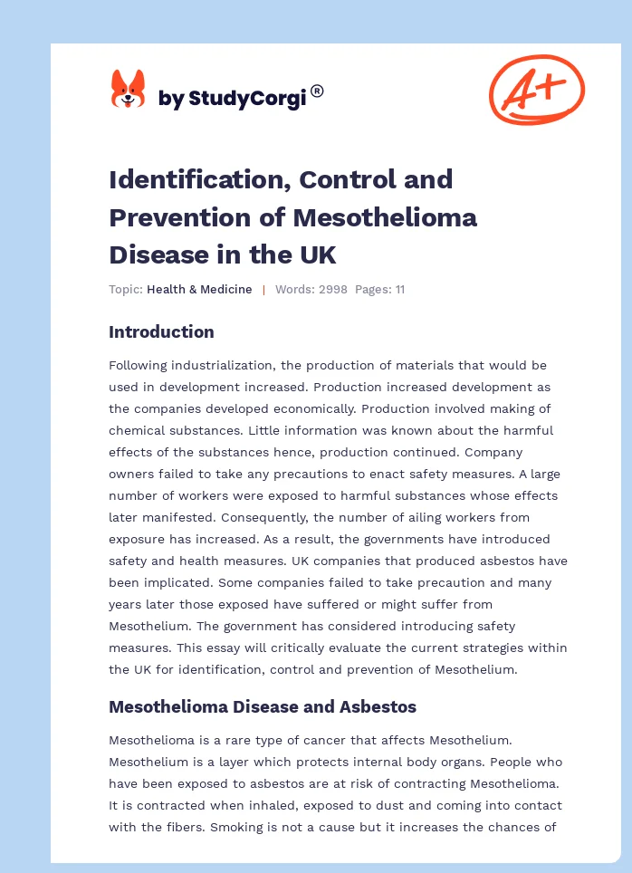 Identification, Control and Prevention of Mesothelioma Disease in the UK. Page 1