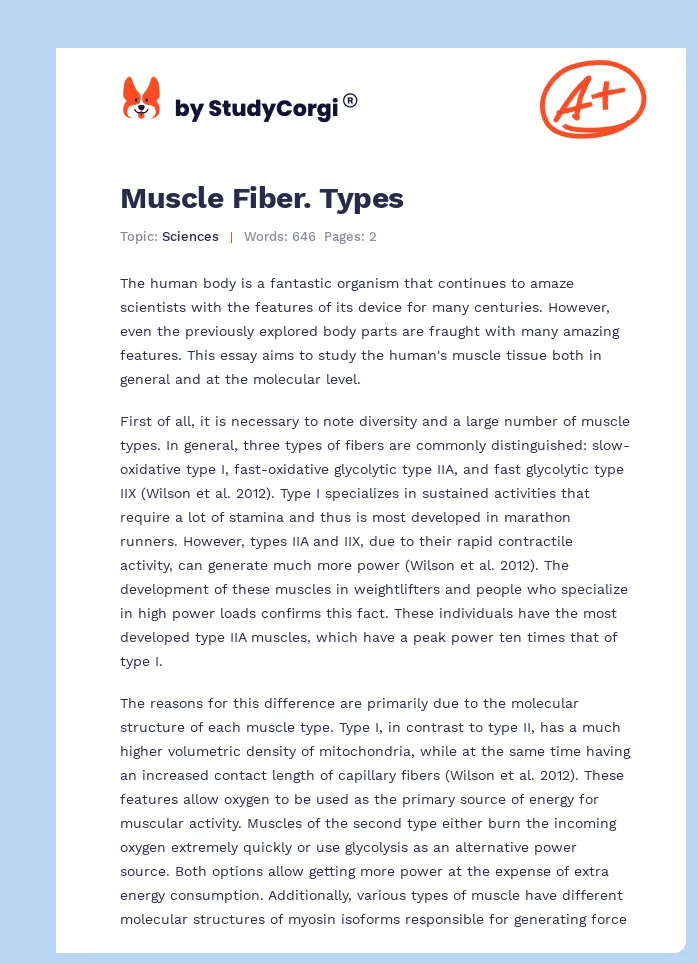 Muscle Fiber. Types. Page 1