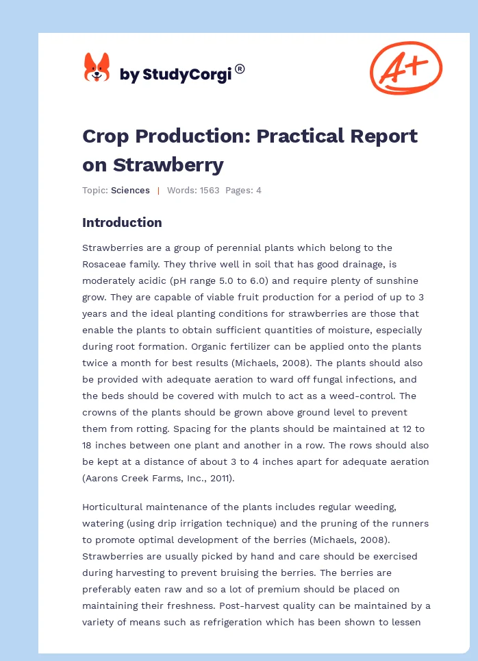 Crop Production: Practical Report on Strawberry. Page 1