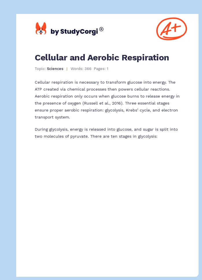 Cellular and Aerobic Respiration. Page 1
