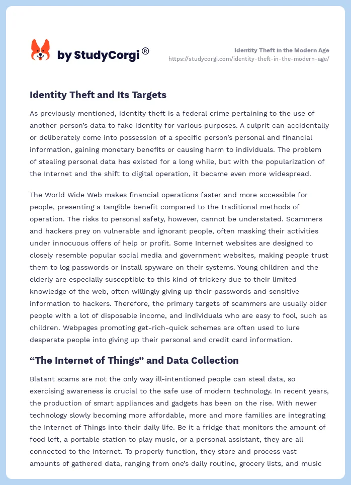 essay topics about identity theft