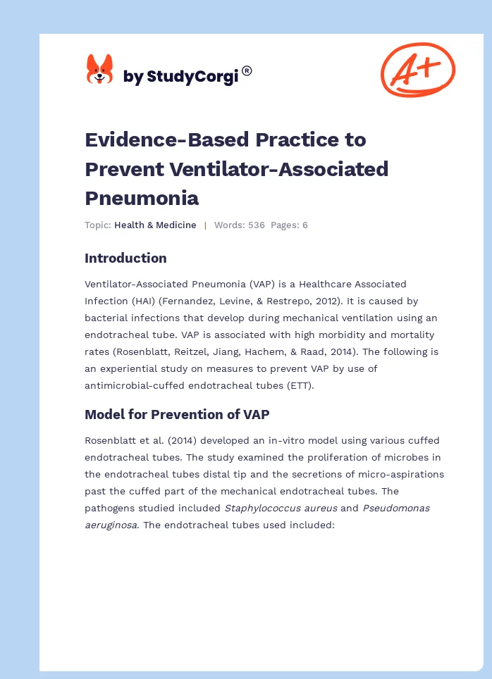 Evidence-Based Practice to Prevent Ventilator-Associated Pneumonia. Page 1