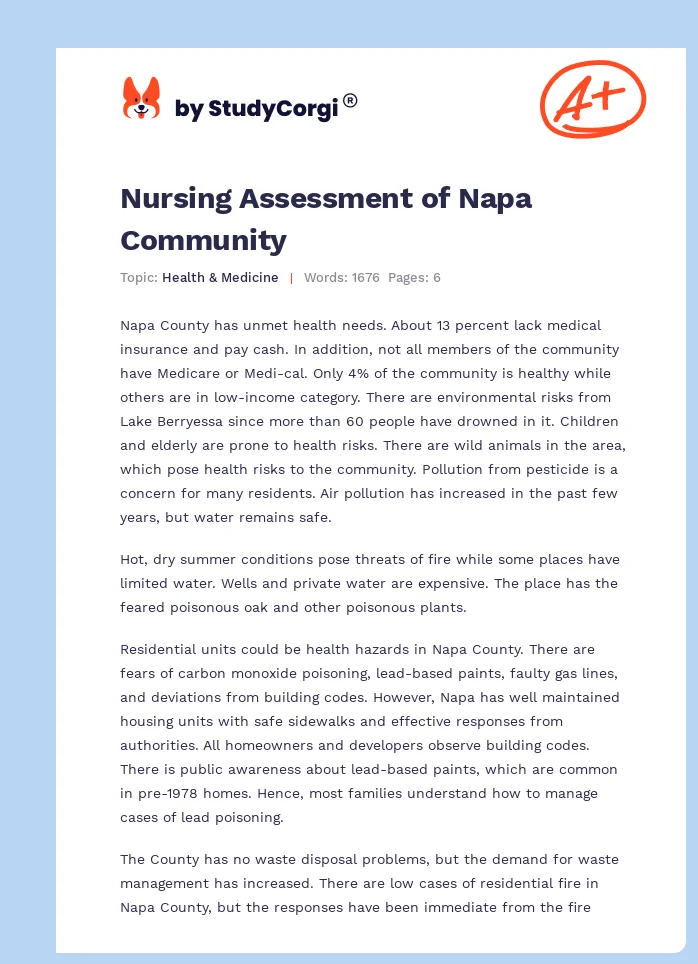 Nursing Assessment of Napa Community. Page 1