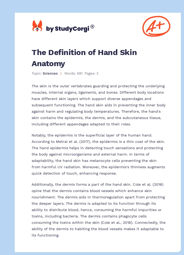 The Definition of Hand Skin Anatomy. Page 1
