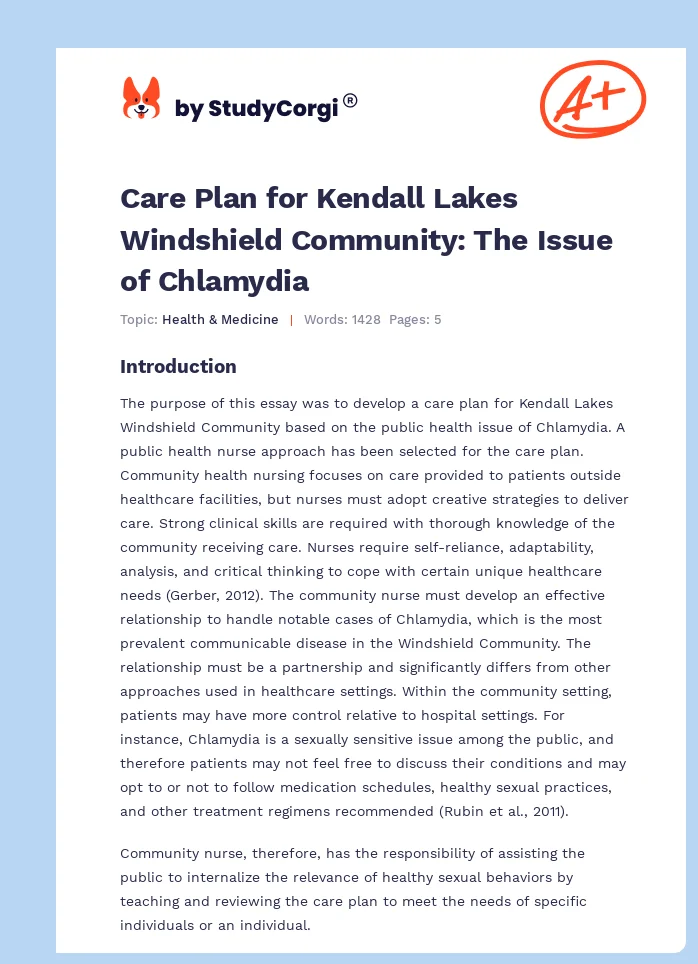 Care Plan for Kendall Lakes Windshield Community: The Issue of Chlamydia. Page 1