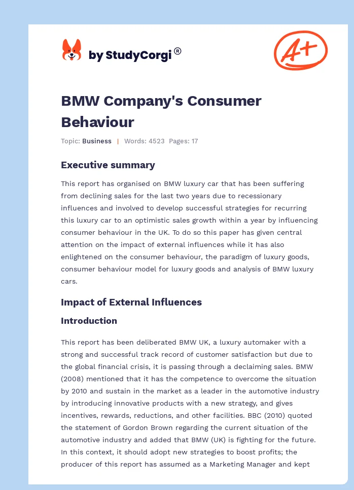 BMW Company's Consumer Behaviour. Page 1