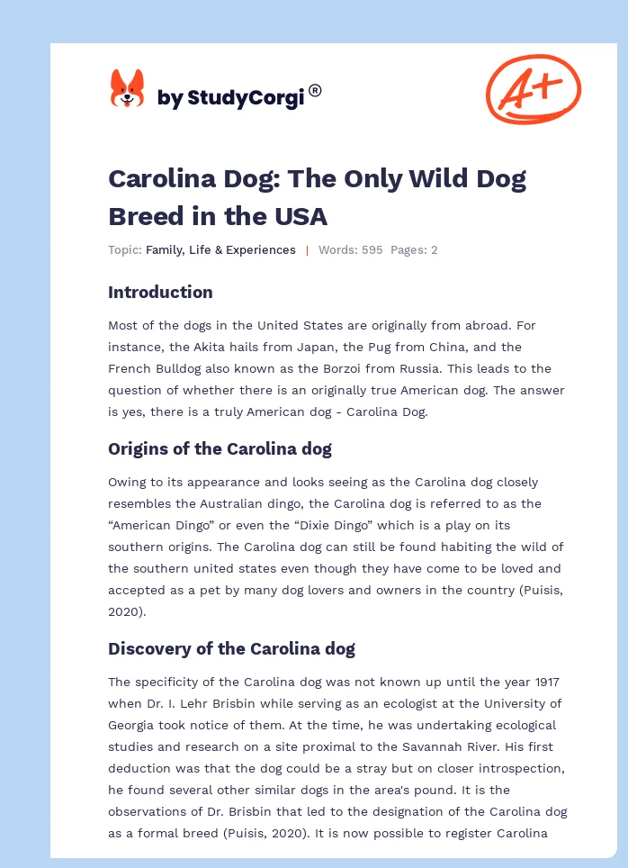 Carolina Dog: The Only Wild Dog Breed in the USA. Page 1