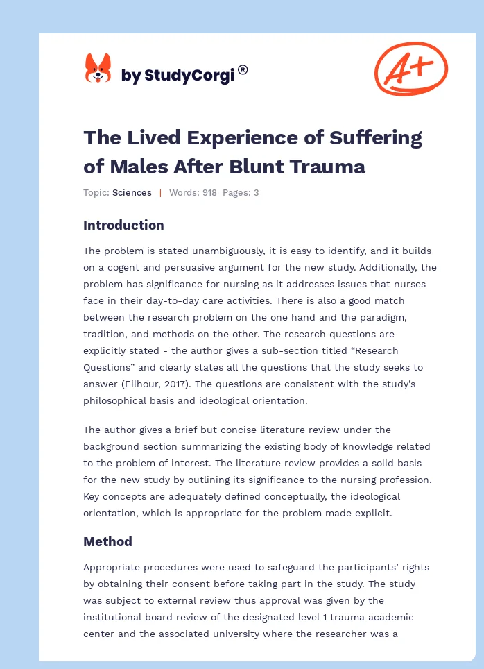 The Lived Experience of Suffering of Males After Blunt Trauma. Page 1