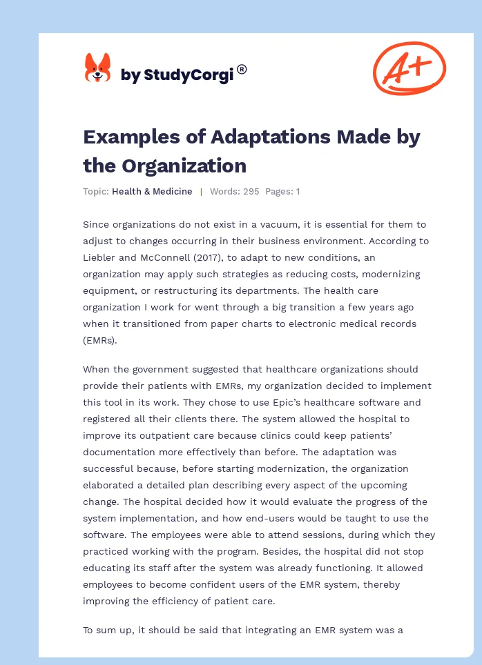 Examples of Adaptations Made by the Organization. Page 1