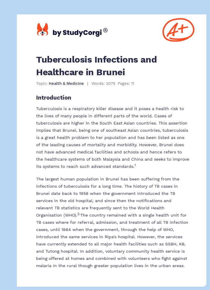 Tuberculosis Infections and Healthcare in Brunei. Page 1