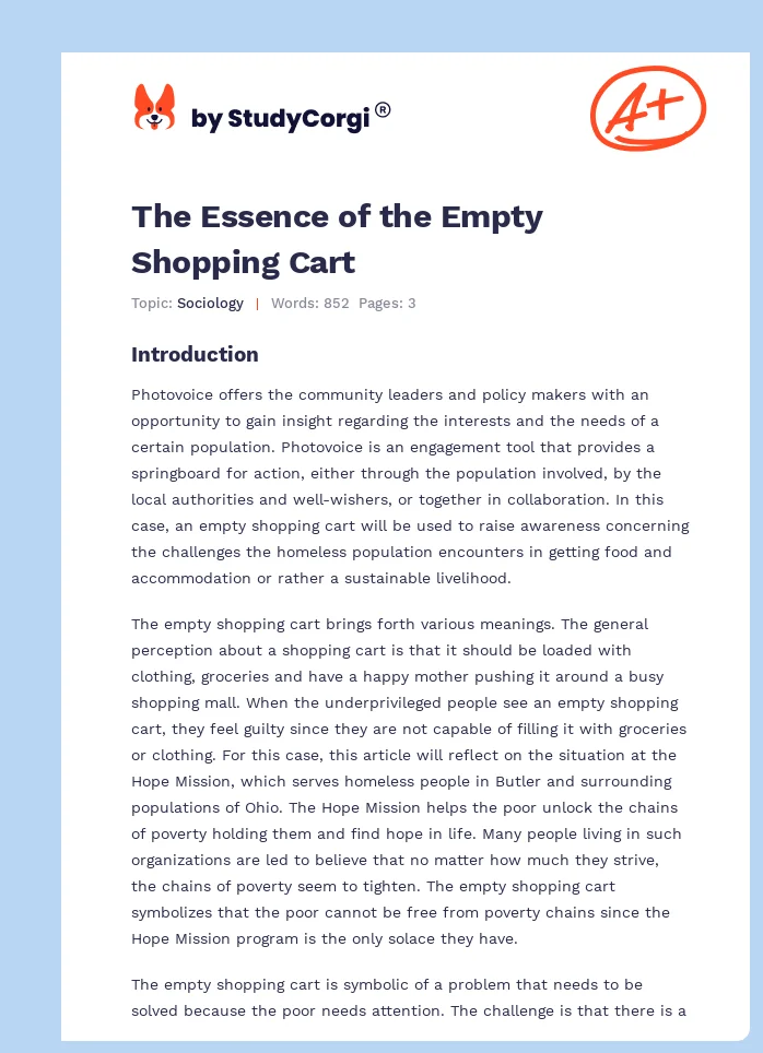 The Essence of the Empty Shopping Cart. Page 1