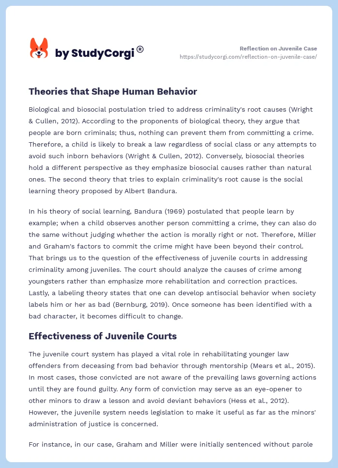 Reflection on Juvenile Case. Page 2