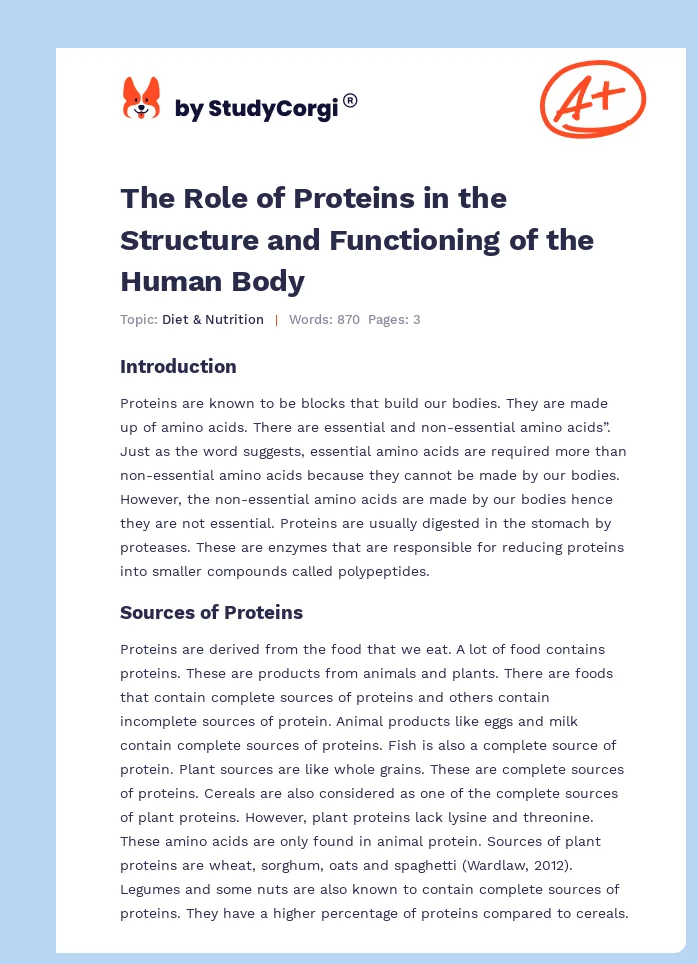 The Role of Proteins in the Structure and Functioning of the Human Body. Page 1