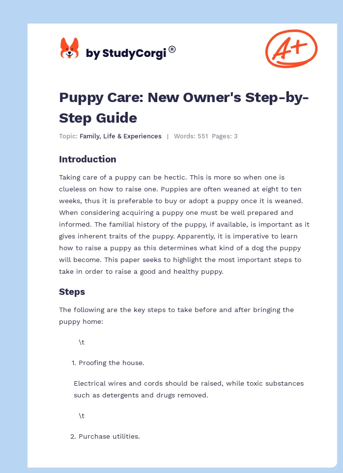 Puppy Care: New Owner's Step-by-Step Guide. Page 1