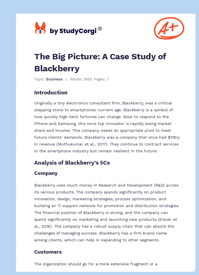 The Big Picture: A Case Study of Blackberry. Page 1