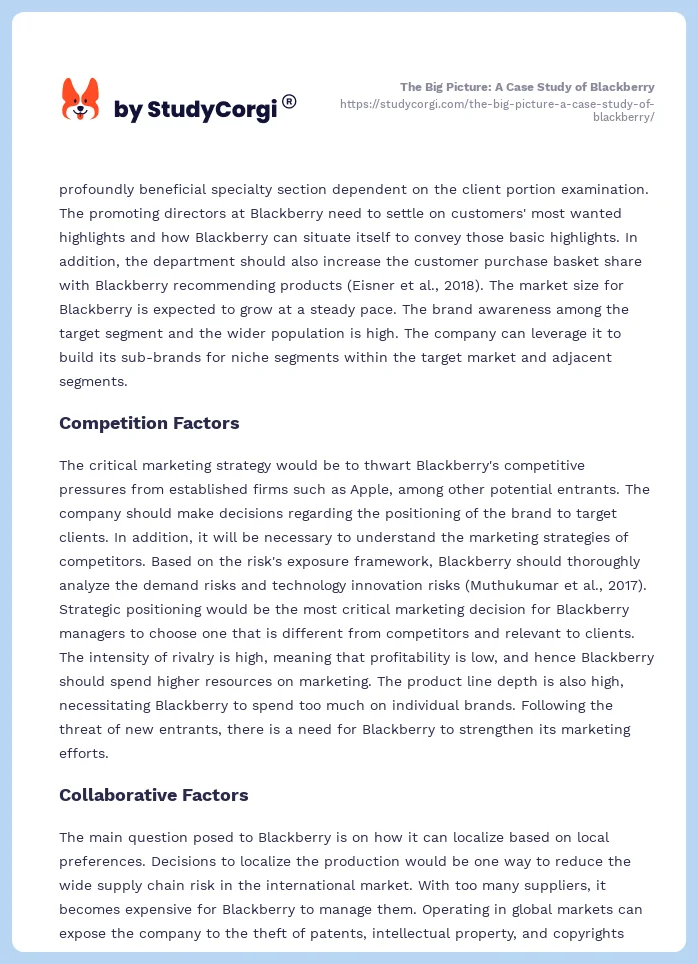 The Big Picture: A Case Study of Blackberry. Page 2