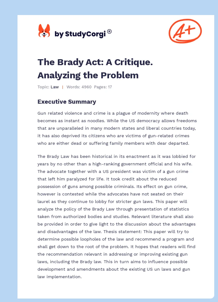 The Brady Act: A Critique. Analyzing the Problem. Page 1