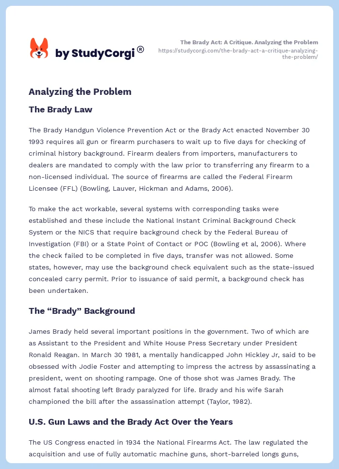 The Brady Act: A Critique. Analyzing the Problem. Page 2