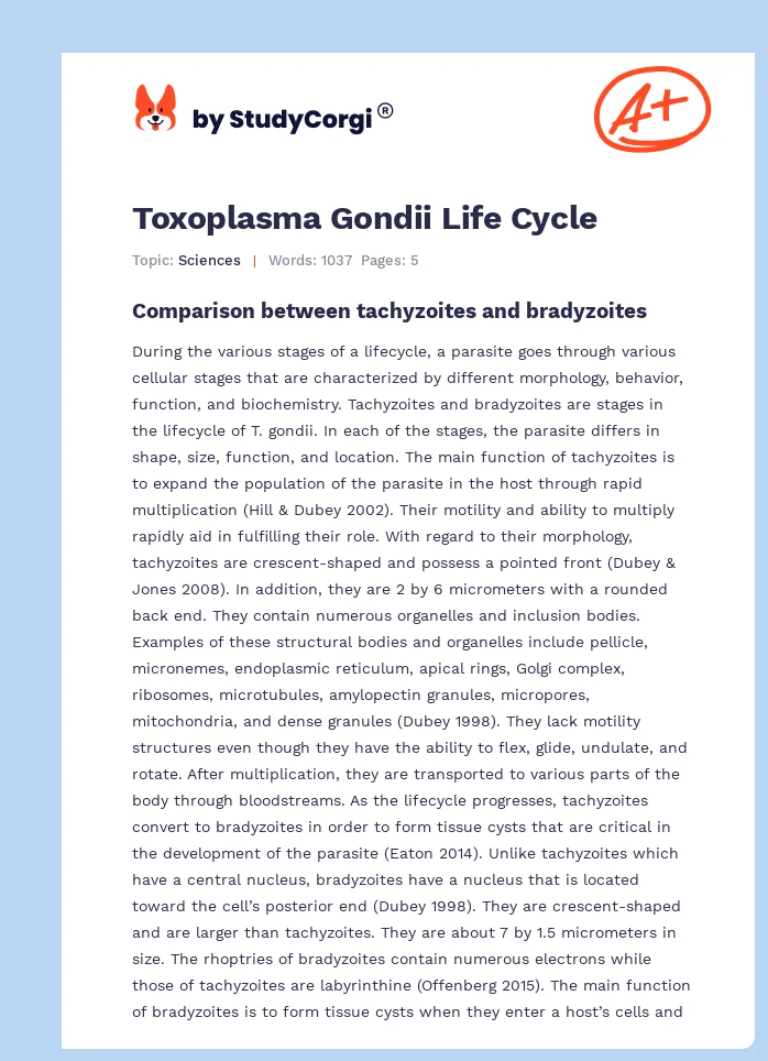 Toxoplasma Gondii Life Cycle. Page 1