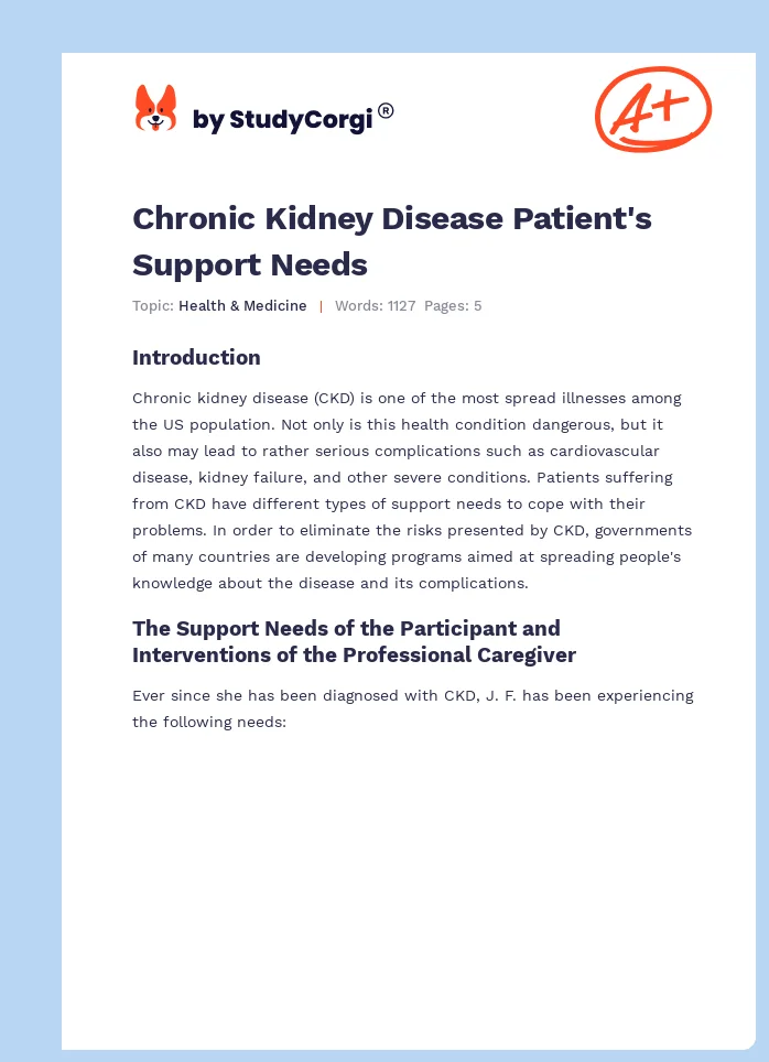 Chronic Kidney Disease Patient's Support Needs. Page 1