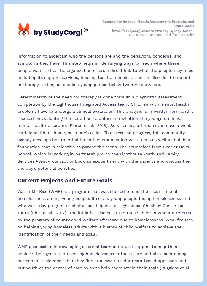 Community Agency: Needs Assessment, Projects, and Future Goals. Page 2