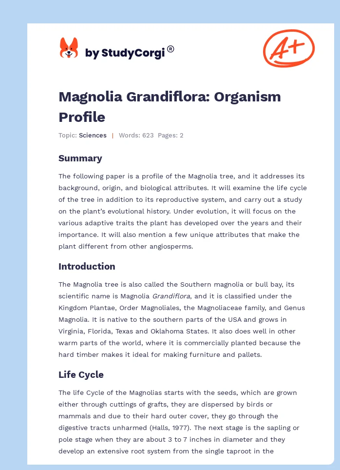 Magnolia Grandiflora: Organism Profile. Page 1