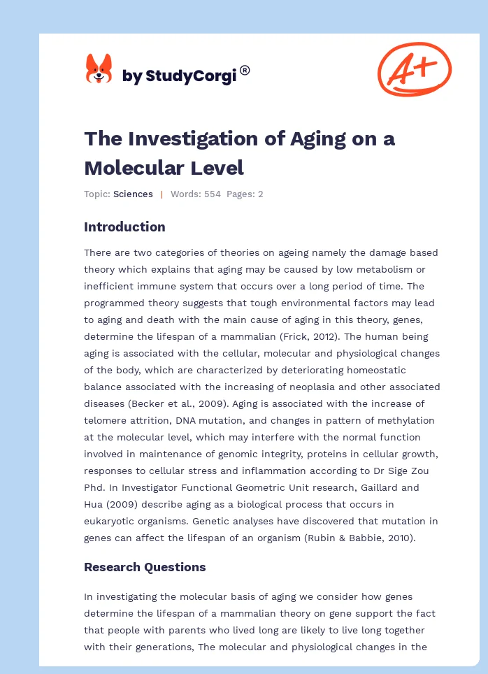 The Investigation of Aging on a Molecular Level. Page 1