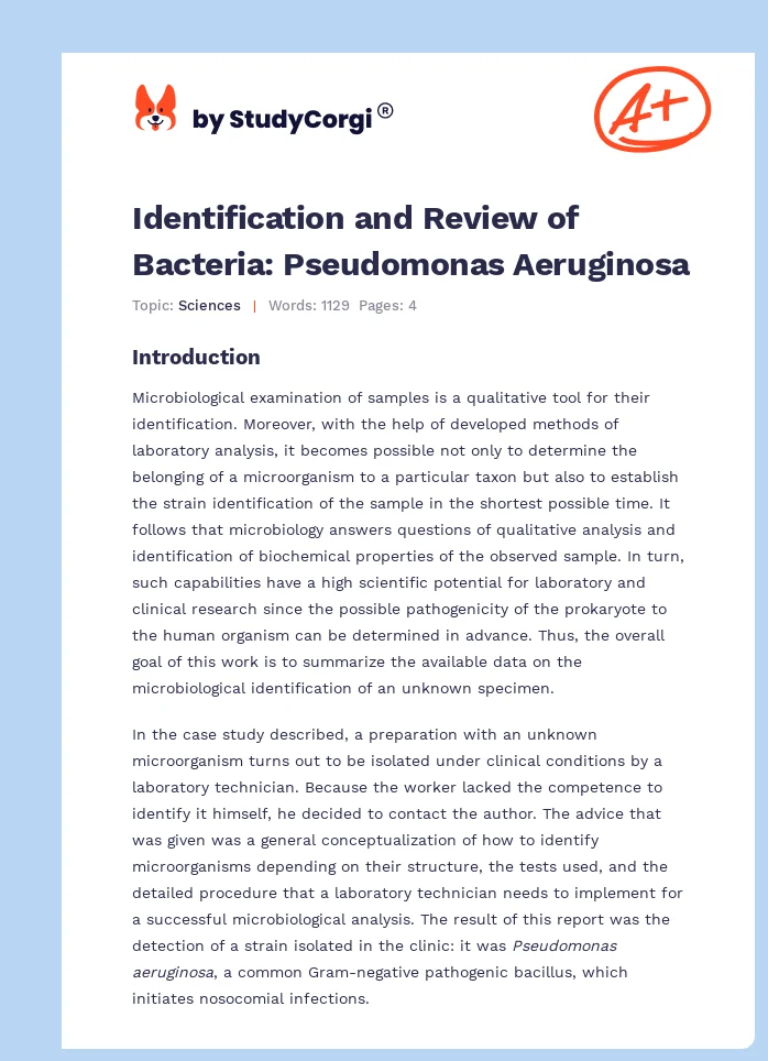 Identification and Review of Bacteria: Pseudomonas Aeruginosa. Page 1