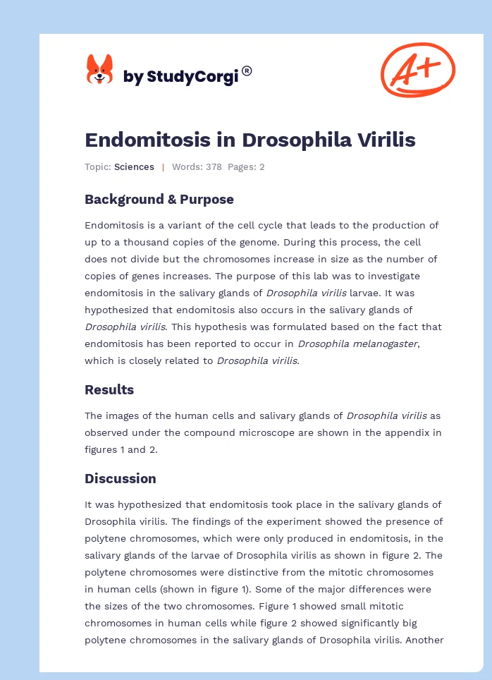 Endomitosis in Drosophila Virilis. Page 1