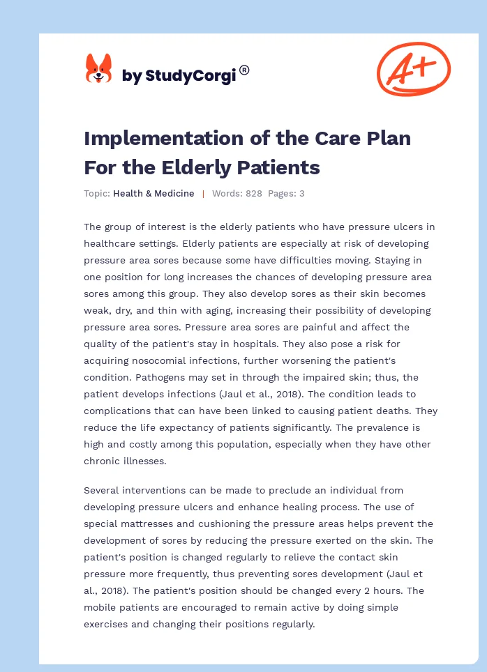 Implementation of the Care Plan For the Elderly Patients. Page 1