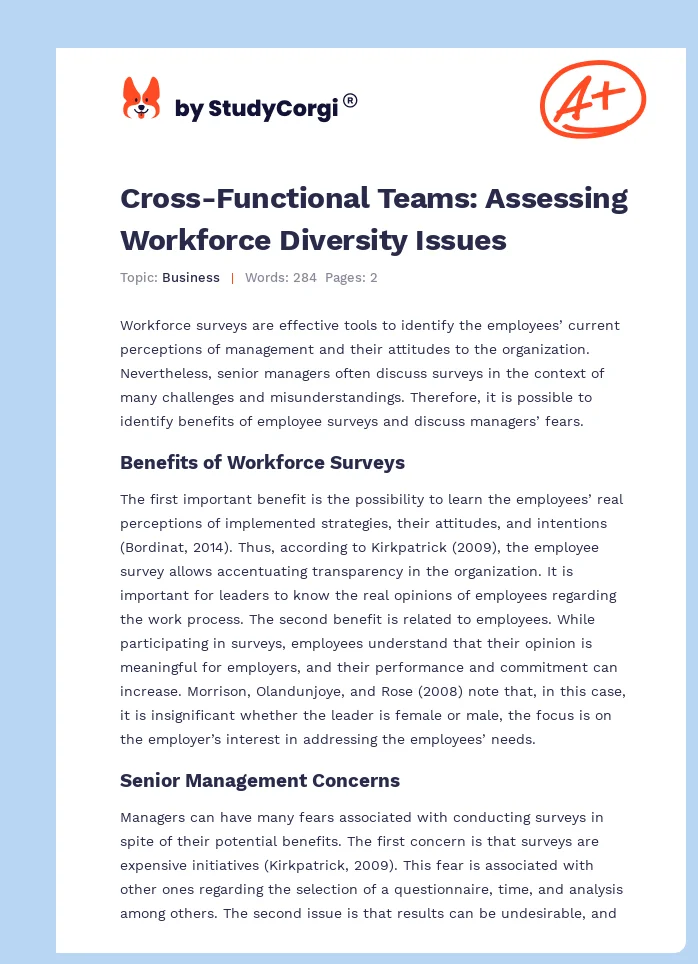 Cross-Functional Teams: Assessing Workforce Diversity Issues. Page 1