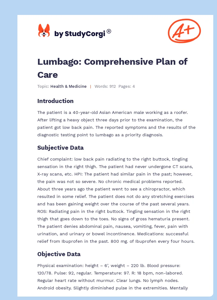Lumbago: Comprehensive Plan of Care. Page 1