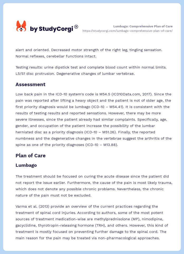 Lumbago: Comprehensive Plan of Care. Page 2