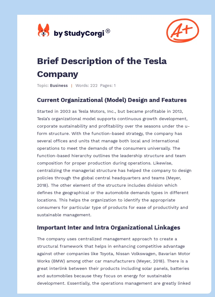 Brief Description of the Tesla Company. Page 1