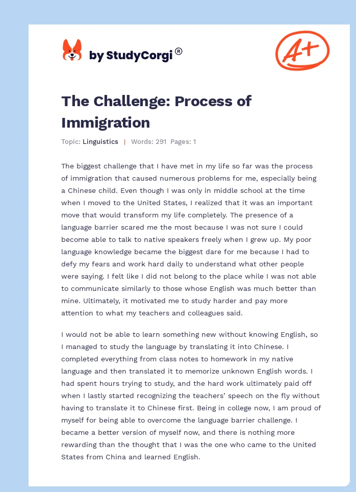 The Challenge: Process of Immigration. Page 1