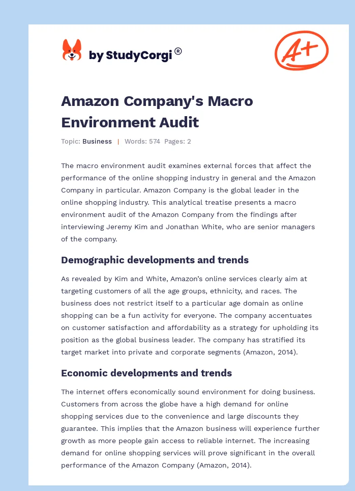 Amazon Company's Macro Environment Audit. Page 1