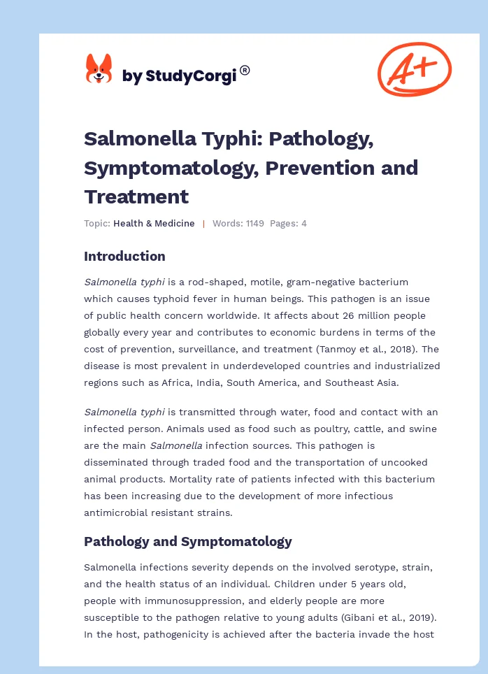 Salmonella Typhi: Pathology, Symptomatology, Prevention and Treatment. Page 1