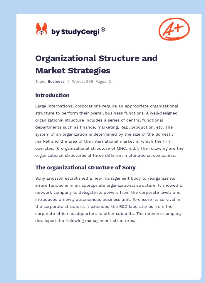 Organizational Structure and Market Strategies. Page 1