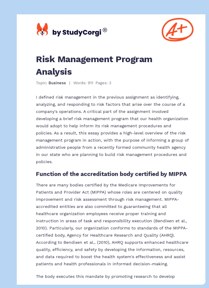 Risk Management Program Analysis. Page 1