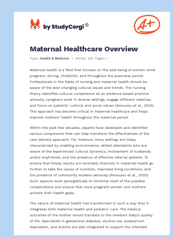 Maternal Healthcare Overview. Page 1
