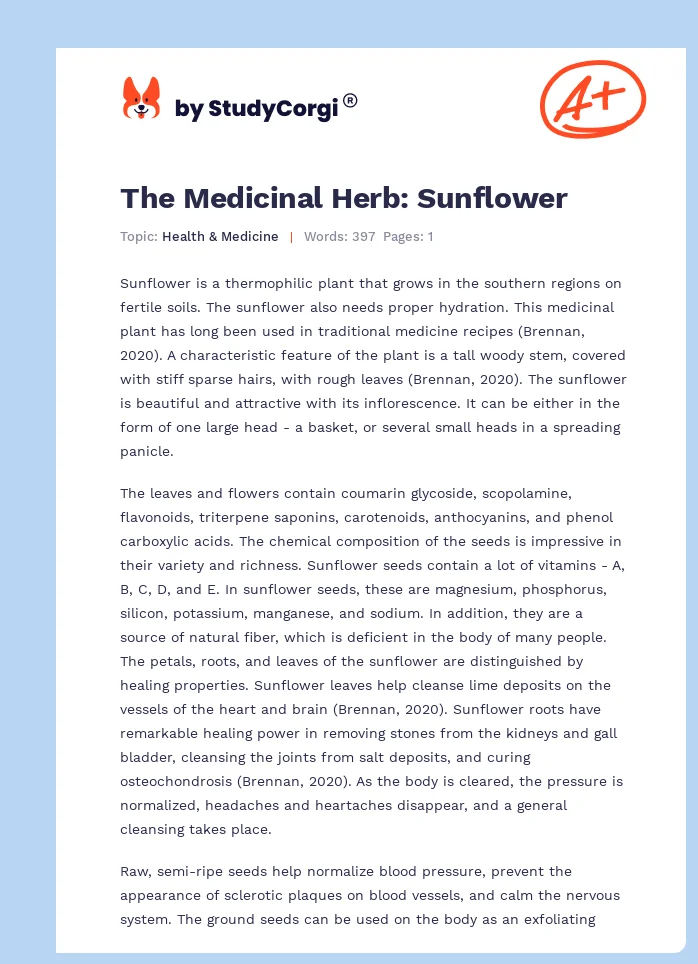 The Medicinal Herb: Sunflower. Page 1