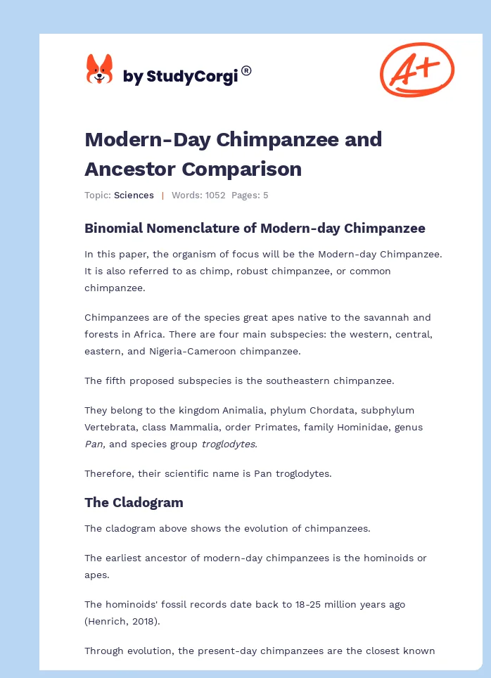 Modern-Day Chimpanzee and Ancestor Comparison. Page 1