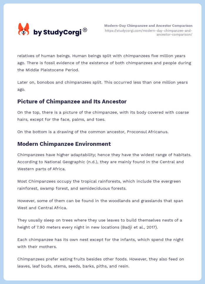 Modern-Day Chimpanzee and Ancestor Comparison. Page 2