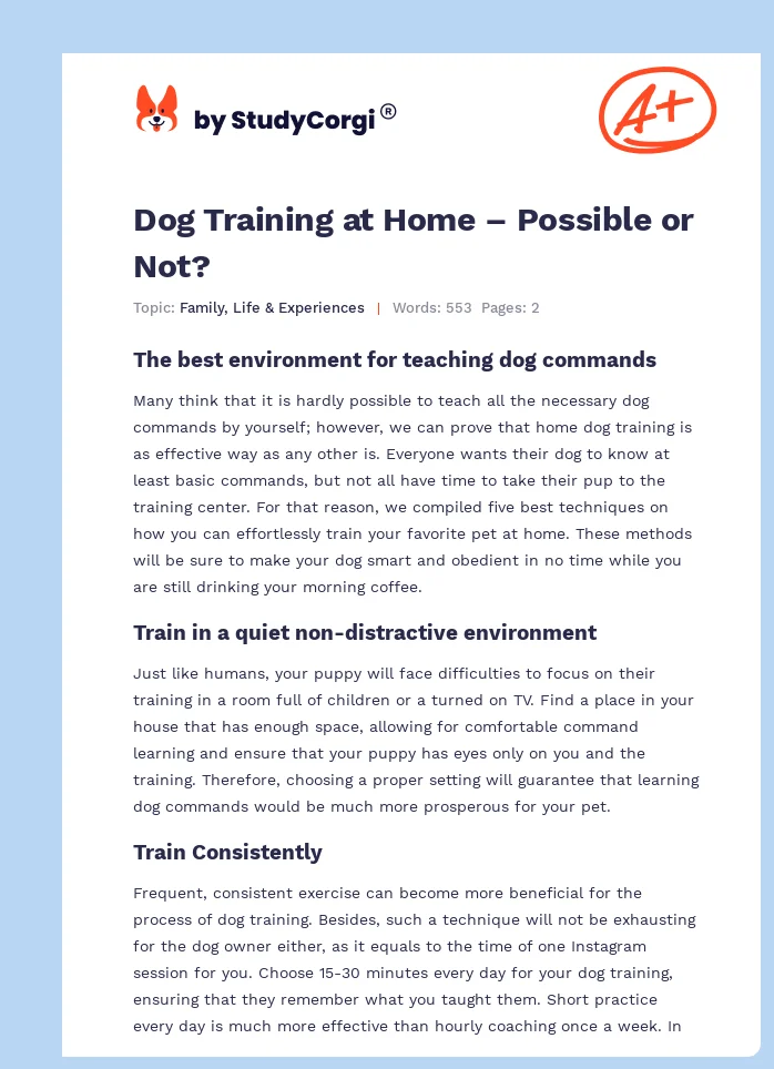 Dog Training at Home – Possible or Not?. Page 1
