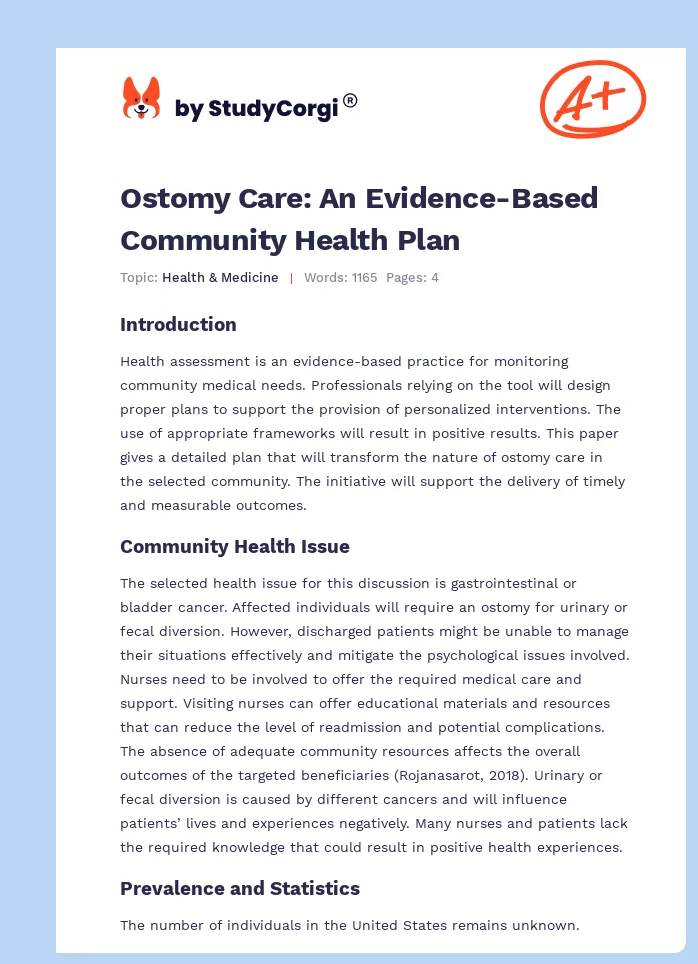 Ostomy Care: An Evidence-Based Community Health Plan. Page 1