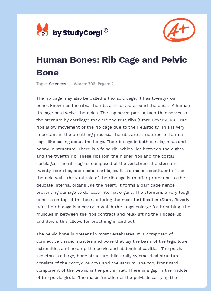 Human Bones: Rib Cage and Pelvic Bone. Page 1
