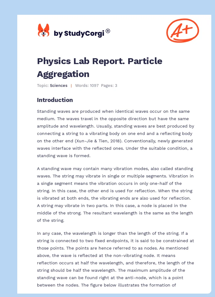 Physics Lab Report. Particle Aggregation. Page 1